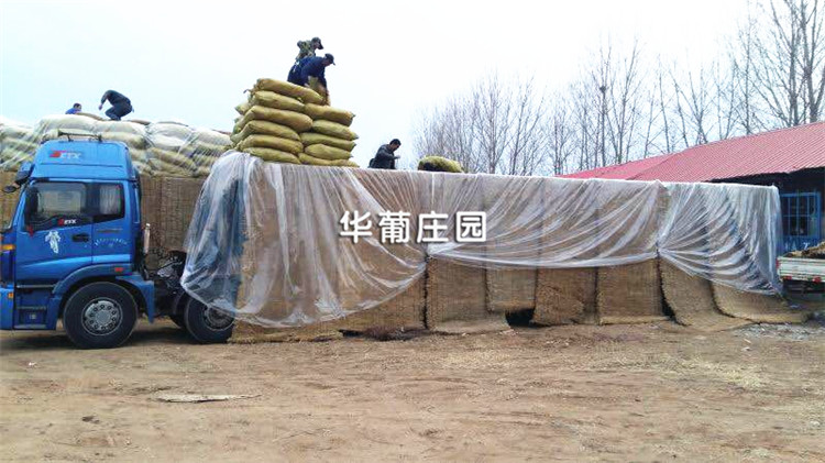 XCLP3/YL系列移梁式精密四柱液壓裁斷機 XCLP3/YL系列移梁式精密四柱液壓裁斷機